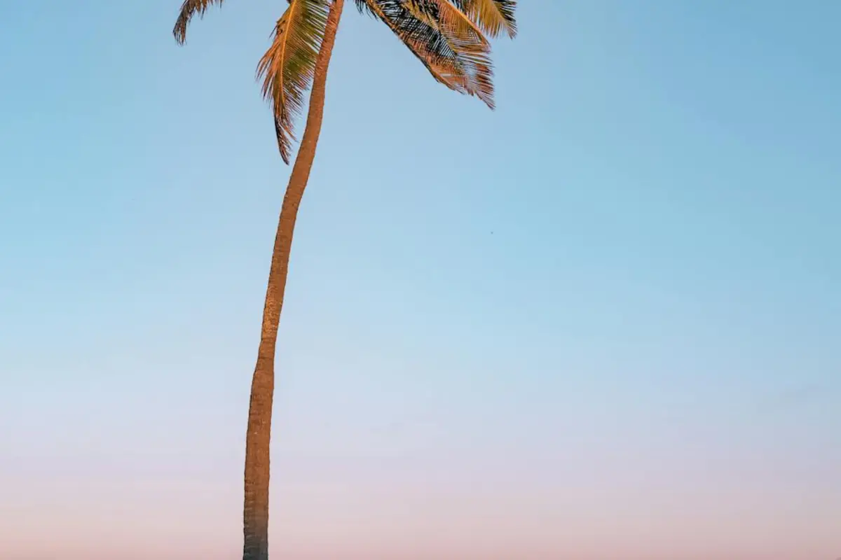 Central Air Repair in Coconut Creek, Florida - AC Repair World same-day service