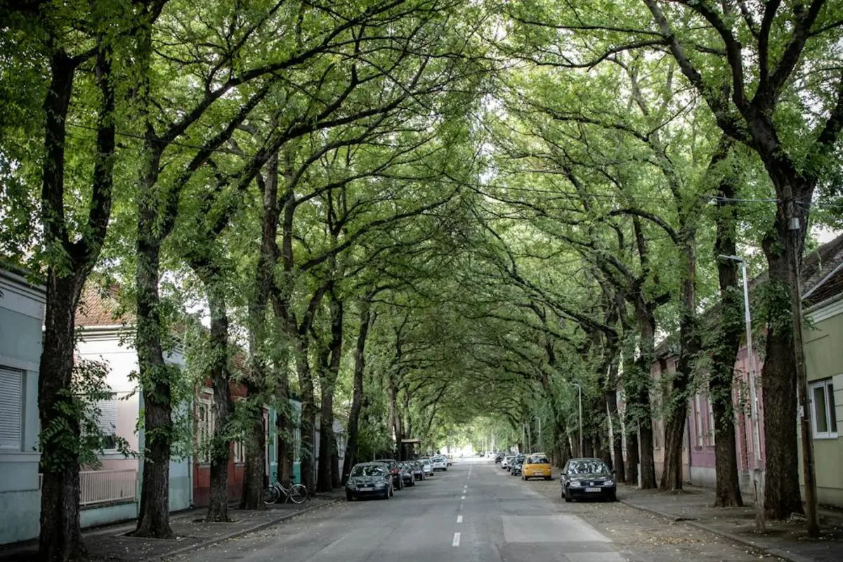 Duct Cleaning in Davie, Florida - AC Repair World same-day service