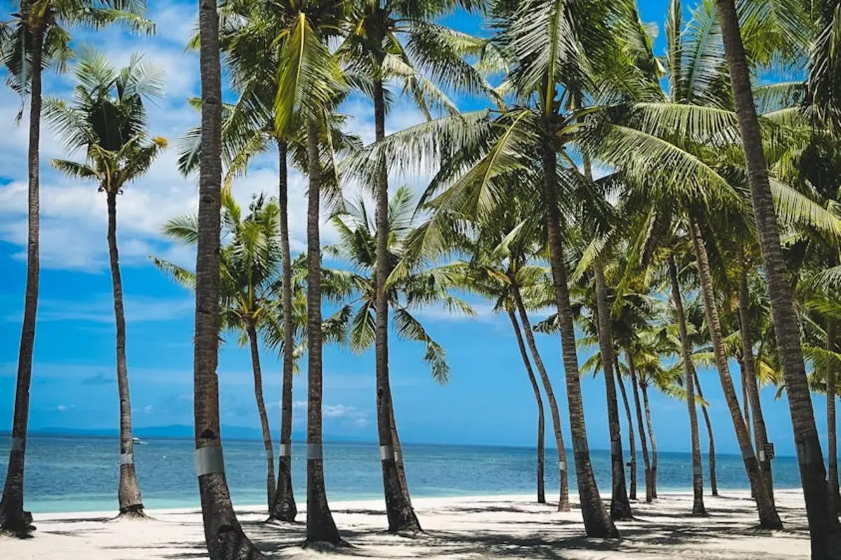 AC Repair in Deerfield Beach, Florida - AC Repair World same-day service