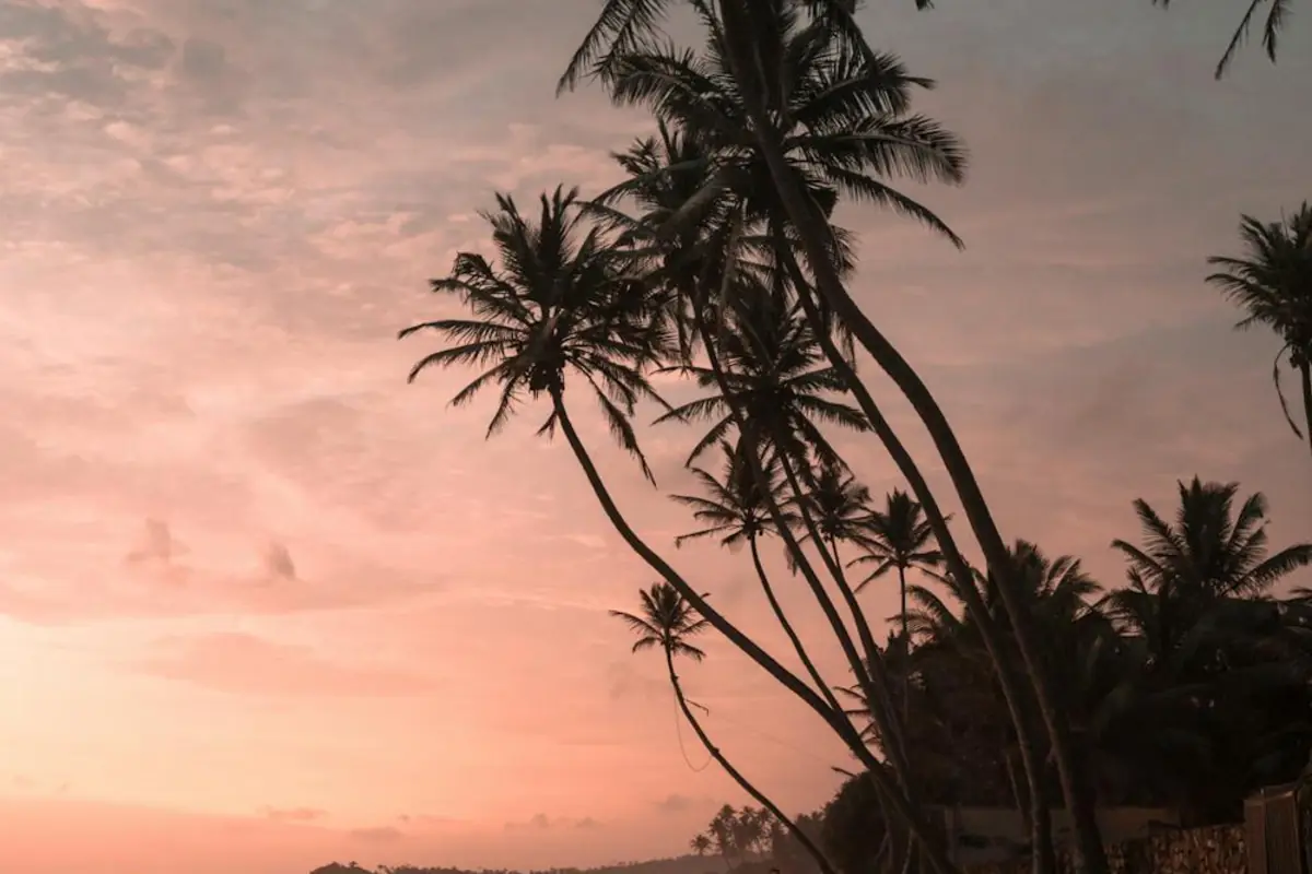 AC Not Cooling in Delray Beach, Florida - AC Repair World same-day service