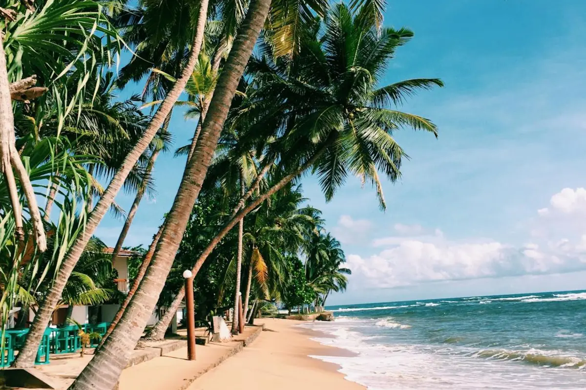 AC Not Cooling in Palm Beach Gardens, Florida - AC Repair World same-day service